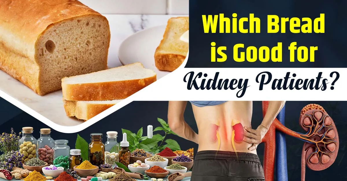 which-bread-is-good-for-kidney-patients